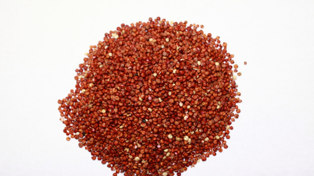 Article image for Quinoa crops growing in popularity