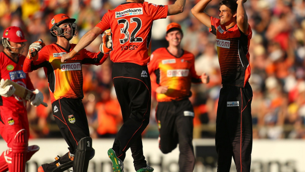 Article image for Scorchers continue to surprise their coach