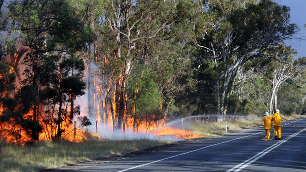Article image for Report suspicious activity this bushfire season