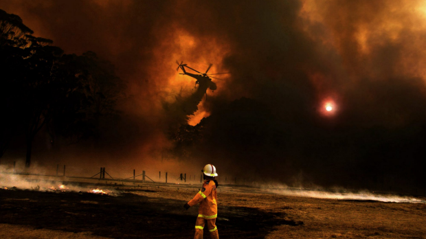 Article image for Parkerville bushfires a year on