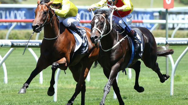 Article image for Railway Stakes sweep