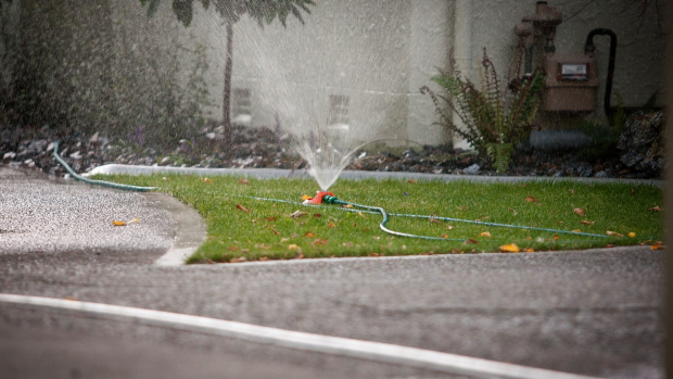 Article image for Water Corp wants a rethink on lawn verges to save water