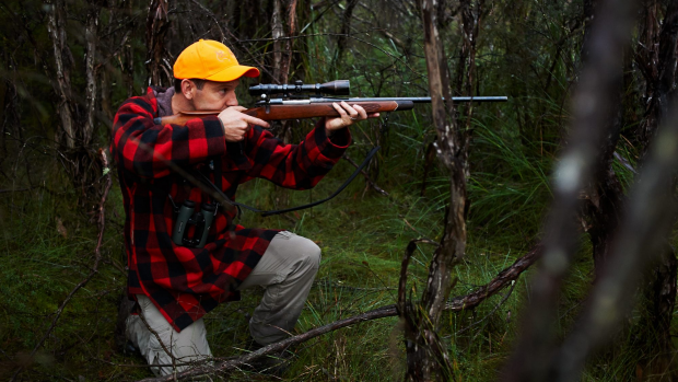 Hunting on crown land could go ahead if WA government agrees to