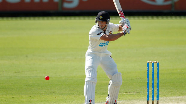 Article image for Marsh goes into bat for Voges