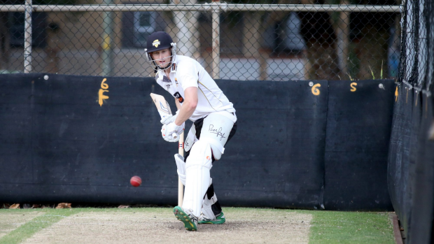Article image for WA’s Adam Voges makes Ashes squad at the age of 35