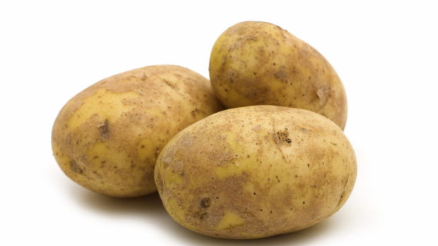 Article image for WA’s Potato Marketing Corporation to be abolished in two years