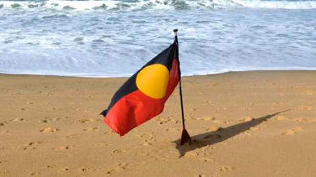 Article image for Aboriginal not indigenous