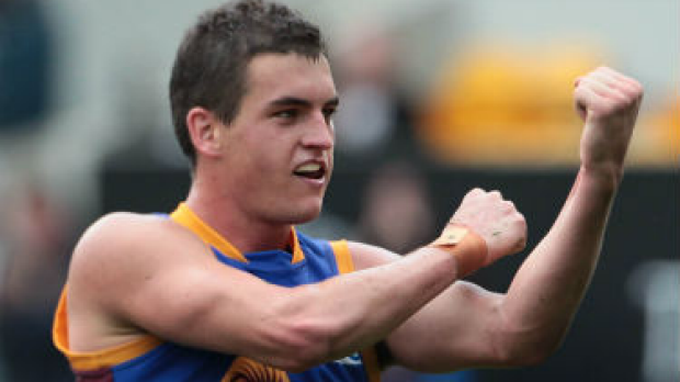 Article image for Rockliff ready to lead lions