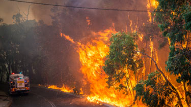 Article image for Toodyay rallies for Mundairing