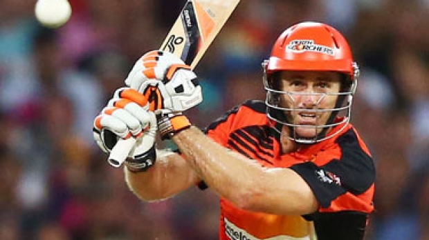 Article image for Scorchers one win from final