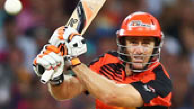 Article image for Scorchers third time lucky