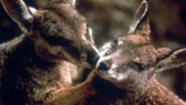 Article image for Let’s talk about sex