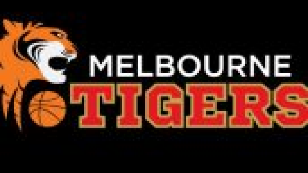 Article image for NBL great slams Tigers name change