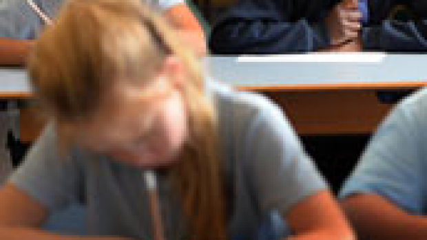 Article image for NAPLAN of no benefit