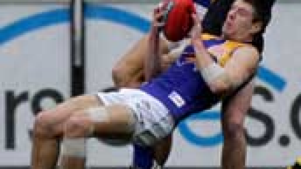 Article image for Simpson backs Beau to return