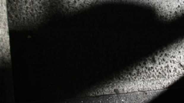 Article image for Ex worried over TJD release