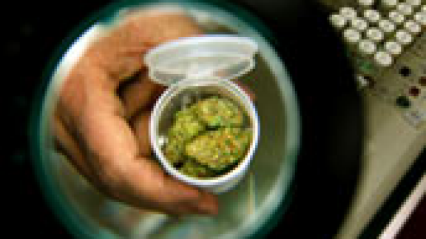 Article image for Medical marijuana. Why not?