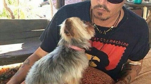 Article image for Johnny Depp’s dogs face deportation or death