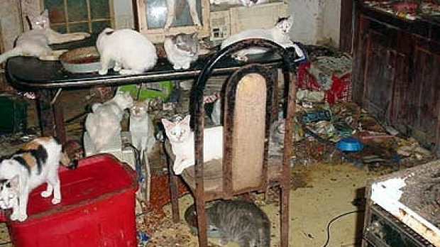 Article image for Call for vets to spot animal hoarders