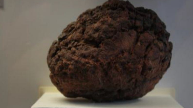 Article image for Wolfe Creek Meteorite stolen