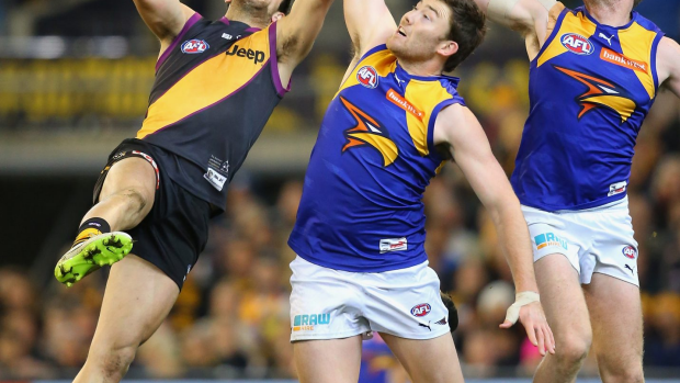 Article image for Eagles Take Mighty Win Over Tigers