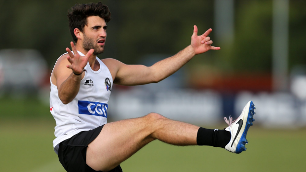 Article image for Fasolo development back to front