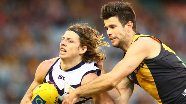 Article image for Dockers Snatch Win From Tigers