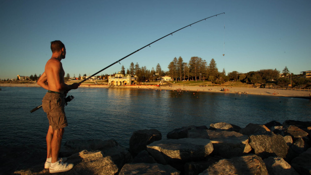 Article image for 6PR Fishing Report November 27