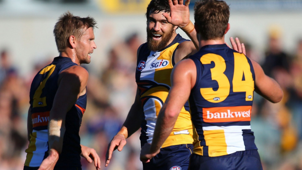 Article image for West Coast thump the Western Bulldogs by 77 points