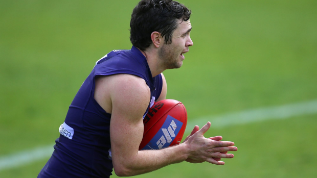 Article image for Fyfe and Ballantyne put their hands up for selection