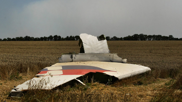 Article image for Report sheds light on MH17