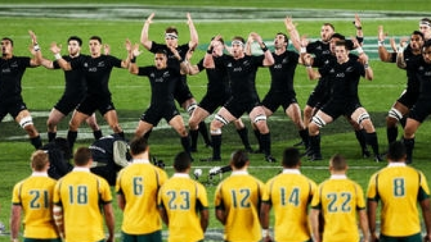 Article image for Johns: Kiwis scared of Wallabies