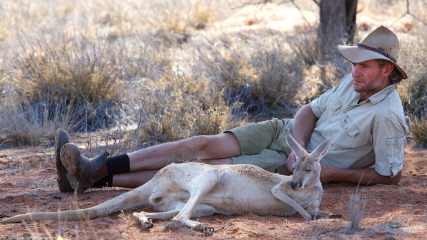 Article image for Kangaroo Dundee and his Sanctuary