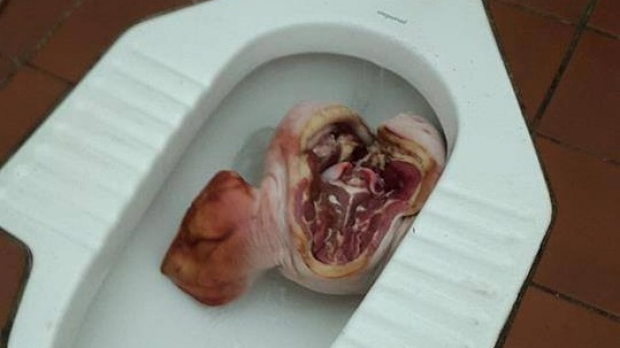 Article image for Student discovers pig’s head dumped in UWA mosque toilet