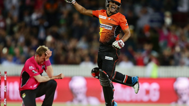 Article image for Scorchers with point to prove