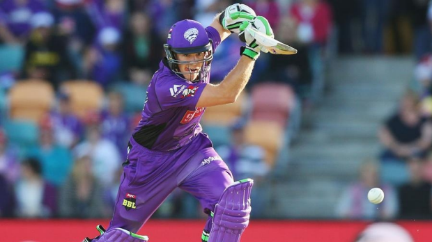 Article image for Captain’s knock by Tim Paine helps Hobart Hurricanes blow away Brisbane Heat