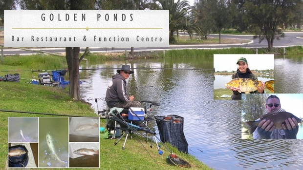 Article image for Golden Ponds Fishing Competition