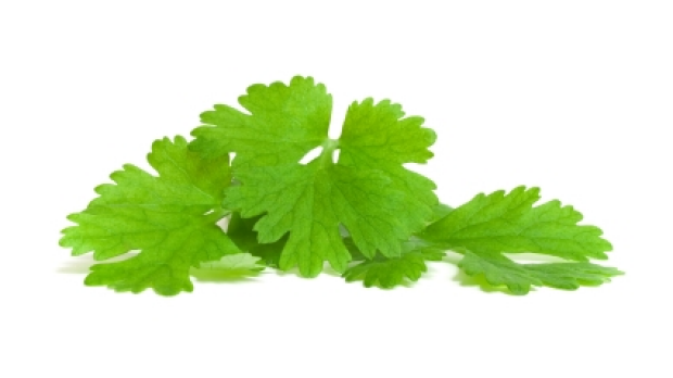 Article image for The people who love to hate coriander