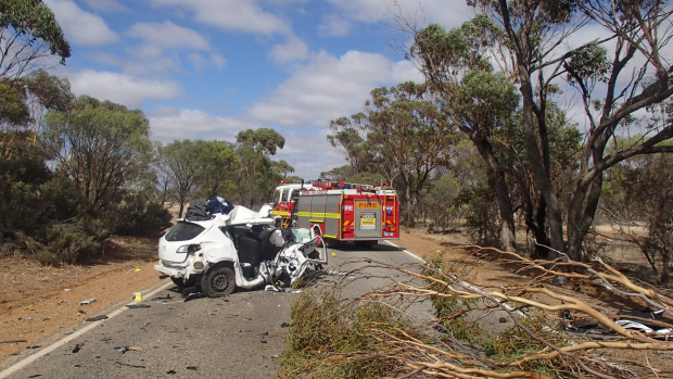 Article image for Road Safety Commissioner wants authorities to work together to lower road toll