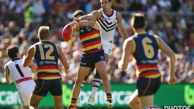 Article image for GAME DAY: Freo’s fall from grace