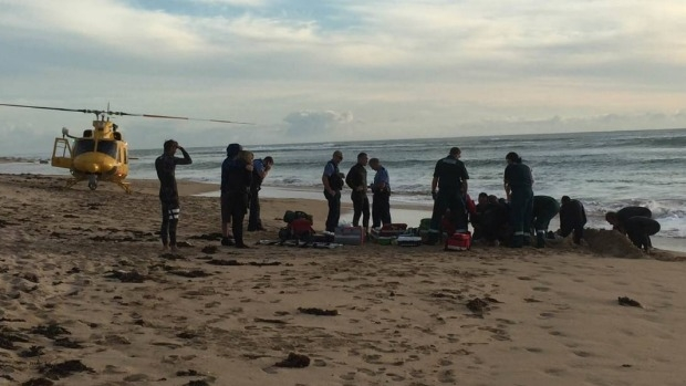 Article image for Surfer attacked by shark at Falcon