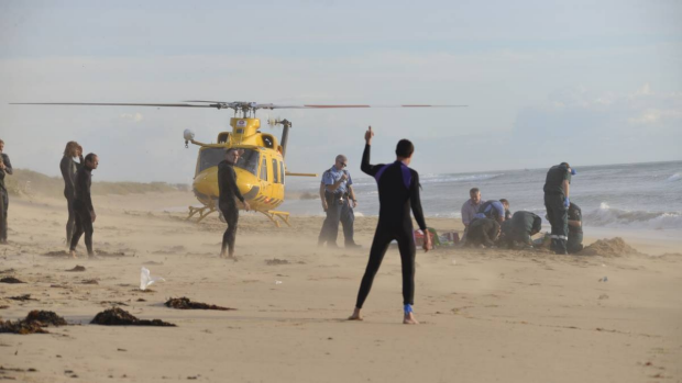 Article image for Mandurah surfer wants more shark surveillance