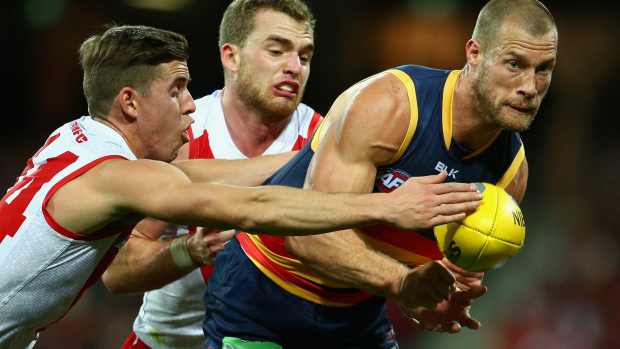 Article image for Thompson back for Crows