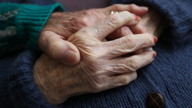 Article image for Human dementia vaccine trials only a ‘couple of years away’