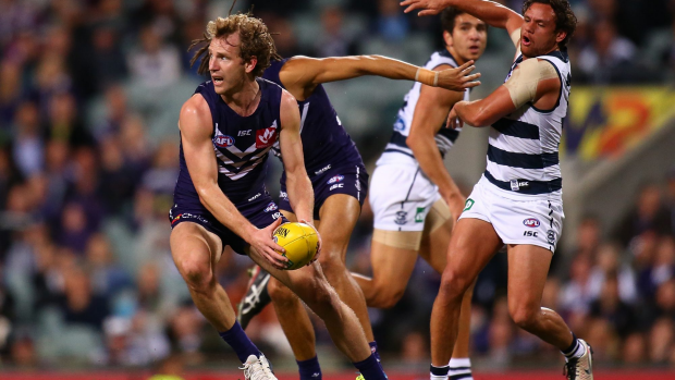Article image for GAME DAY: Cats claw back for win over Freo
