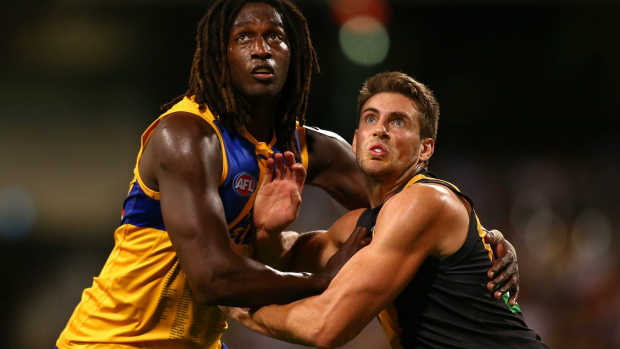 Article image for Nic Nat on track for Pies