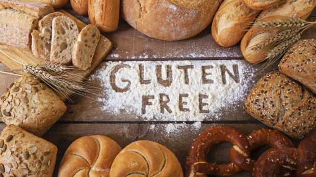 Article image for New protein, not gluten, to blame