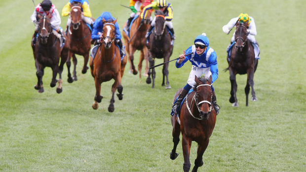Article image for Is Winx the greatest Australian race horse ever?