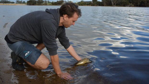 Article image for How healthy is our River