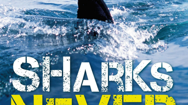 Article image for Book of the Week: Sharks Never Sleep